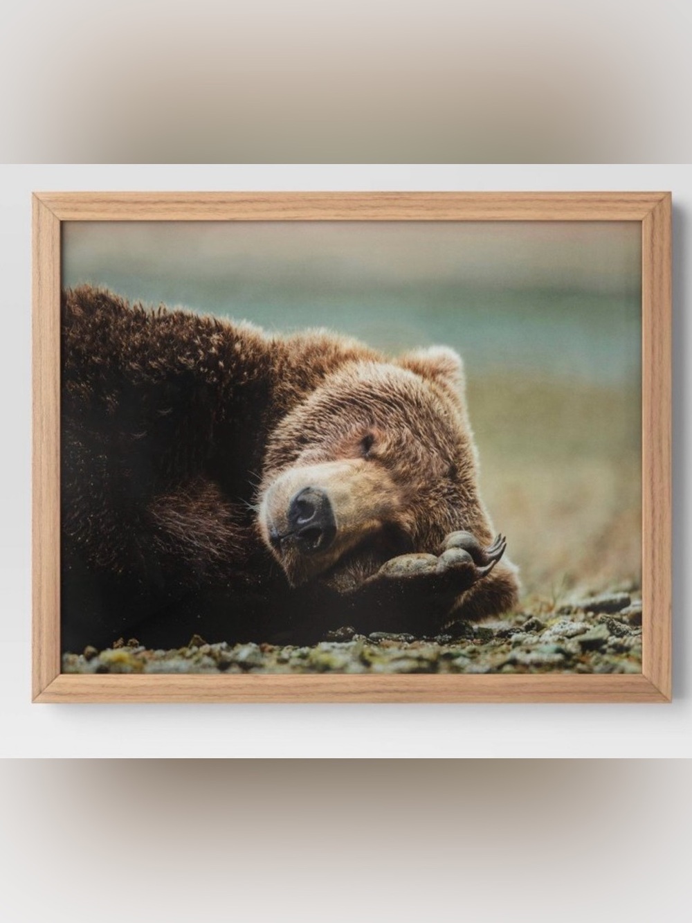 Threshold Bear Photography Framed Wall Art- 20” X 16”-Brown Wood Frame-Decor